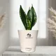 Aquanest__SUREKHA AGRO PRODUCTS