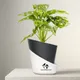 Black__SUREKHA AGRO PRODUCTS