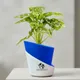 Deep Blue__SUREKHA AGRO PRODUCTS