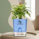 Blue__SUREKHA AGRO PRODUCTS