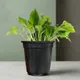 Black__SUREKHA AGRO PRODUCTS