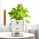 White__SUREKHA AGRO PRODUCTS