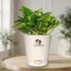 Aquanest__SUREKHA AGRO PRODUCTS