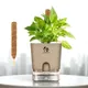Brown__SUREKHA AGRO PRODUCTS