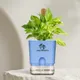 Blue__SUREKHA AGRO PRODUCTS