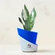 Deep Blue__SUREKHA AGRO PRODUCTS