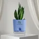 Blue__SUREKHA AGRO PRODUCTS