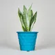 Blue__SUREKHA AGRO PRODUCTS