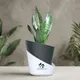 Black__SUREKHA AGRO PRODUCTS