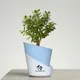 Sky Blue__SUREKHA AGRO PRODUCTS