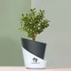 Black__SUREKHA AGRO PRODUCTS