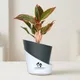 Black__SUREKHA AGRO PRODUCTS