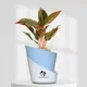 Sky Blue__SUREKHA AGRO PRODUCTS