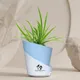 Sky Blue__SUREKHA AGRO PRODUCTS