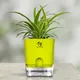 Green__SUREKHA AGRO PRODUCTS