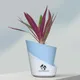 Sky Blue__SUREKHA AGRO PRODUCTS