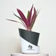 Black__SUREKHA AGRO PRODUCTS