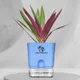 Blue__SUREKHA AGRO PRODUCTS