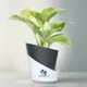 Black__SUREKHA AGRO PRODUCTS