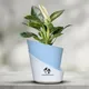 Sky Blue__SUREKHA AGRO PRODUCTS