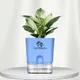 Blue__SUREKHA AGRO PRODUCTS