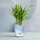 Sky Blue__SUREKHA AGRO PRODUCTS