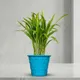 Blue__SUREKHA AGRO PRODUCTS