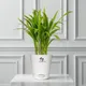 Aquanest__SUREKHA AGRO PRODUCTS