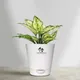 Aquanest__SUREKHA AGRO PRODUCTS
