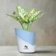 Sky Blue__SUREKHA AGRO PRODUCTS