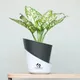 Black__SUREKHA AGRO PRODUCTS