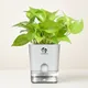 White__SUREKHA AGRO PRODUCTS