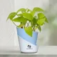 Sky Blue__SUREKHA AGRO PRODUCTS