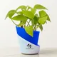 Deep Blue__SUREKHA AGRO PRODUCTS