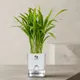 White__SUREKHA AGRO PRODUCTS
