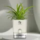 White__SUREKHA AGRO PRODUCTS