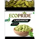 NA__ECOPRIDE 