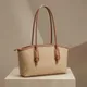 Beige And Brown__TRENDY BAGS