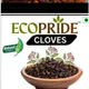 NA__ECOPRIDE 