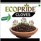 NA__ECOPRIDE 