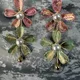 Rose Gold & Brass__RUVENNA JEWELLERY