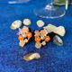 Orange & Beige__RUVENNA JEWELLERY