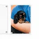 Pack of 1__POPPOTATO