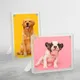 Pack of 4__POPPOTATO