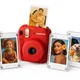 Pack of 15__POPPOTATO