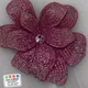Pink__GLOBAL LACE HOUSE 