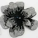 BlackSilver