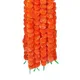 Darkorange