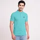 Turquoise Green