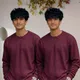 Wine__ADIXUX